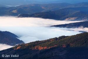 Foto Jan Vašut