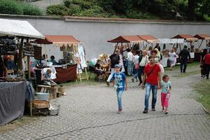 MAS Železnohorský region