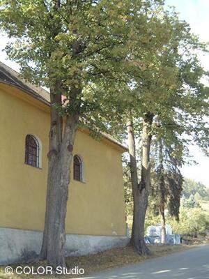 Památné lípy u kaple