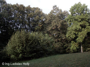 Arboretum Sola gratia, Bystřice pod Hostýnem