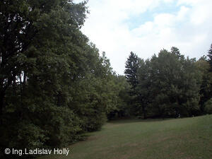 Arboretum Sola gratia, Bystřice pod Hostýnem