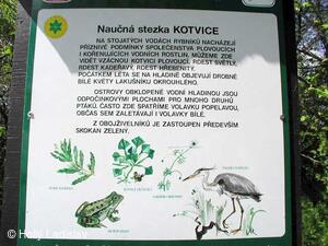 Naučná stezka KOTVICE