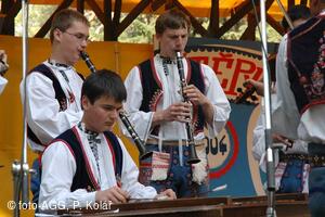 Mezinárodní dětský folklorní festival Štěpy