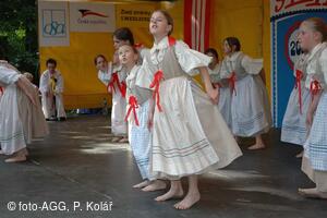 Mezinárodní dětský folklorní festival Štěpy