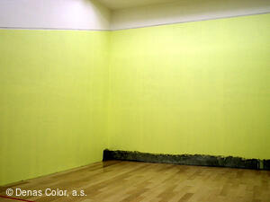 DENAS COLOR, a.s. - 36