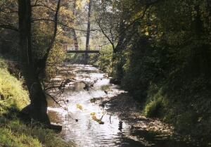 Sedlnička