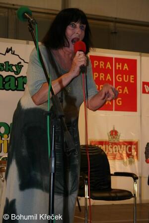 MFF Pražský jarmark