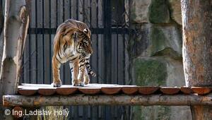 ZOO Praha