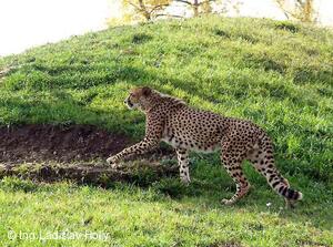 ZOO Praha