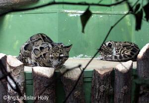 ZOO Praha