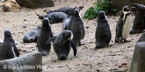 ZOO Praha