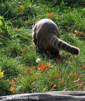 ZOO Praha