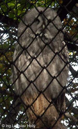 ZOO Praha