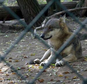 ZOO Praha