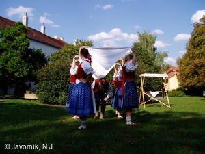 Folklorní soubor Javorník