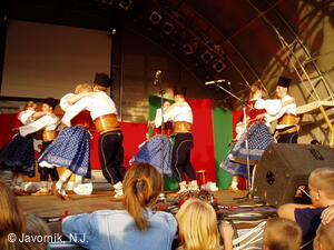 Folklorní soubor Javorník