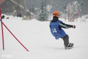 Dualsnow