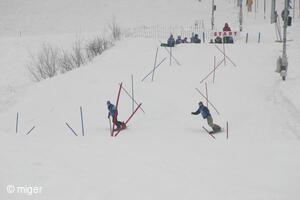 Dualsnow