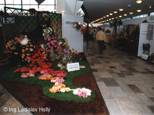 Výstaviště Flora Olomouc