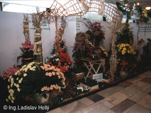 Výstaviště Flora Olomouc