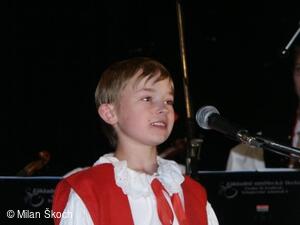 Jihočeské folklorní sdružení