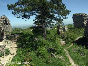 Hrad Starý Jičín 2004-05-21