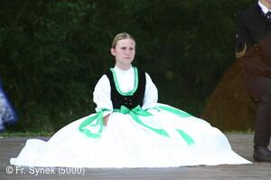 Mezinárodní folklorní festival Strážnice