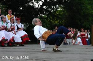 Mezinárodní folklorní festival Strážnice