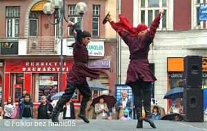Mezinárodní folklorní festival Folklor bez hranic