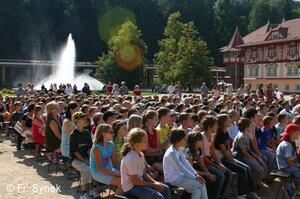 Mezinárodní folklorní festival Písní a tancem