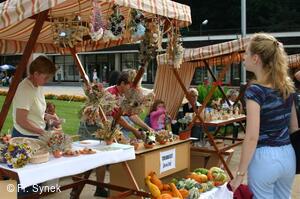 Mezinárodní folklorní festival Písní a tancem