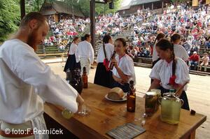 Folklorní festival Slezské dny