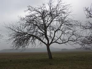 Meditační a relaxační centrum NATARAJ Skalka u Doks