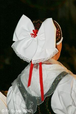 Národní krojový ples