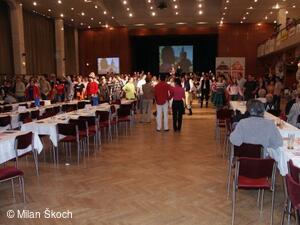 Jihočeské folklorní sdružení