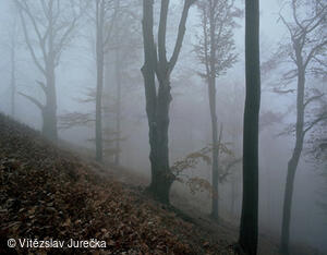 Hukvaldy 039