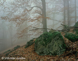 Hukvaldy 042