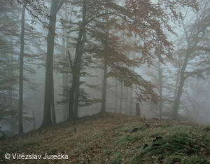 Hukvaldy 043