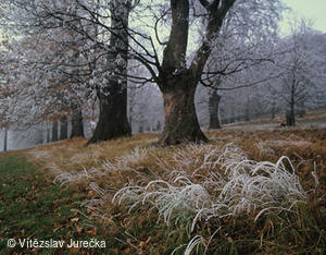 Hukvaldy 046