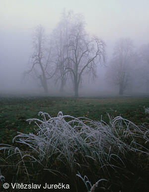 Hukvaldy 049