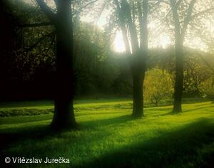 Hukvaldy 008