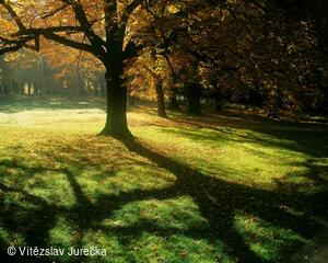 Hukvaldy 017