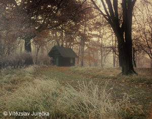 Hukvaldy 030
