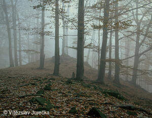Hukvaldy 044
