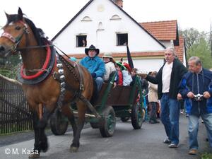 Petřvald