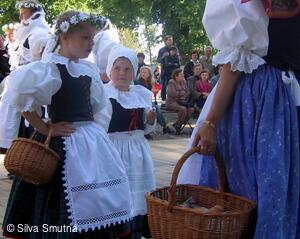 Muzejní spolek Velkobítešska