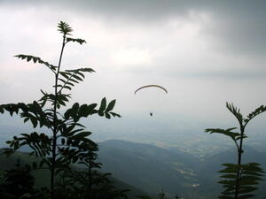 AdrenalinCup 2006