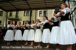 Mezinárodní folklorní festival Folklor bez hranic