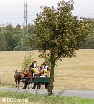 Mezinárodní folklorní festival Česká náves - Dýšina