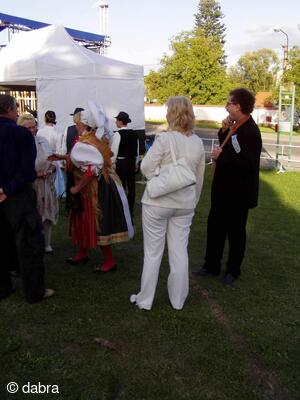 Mezinárodní folklorní festival Česká náves - Dýšina